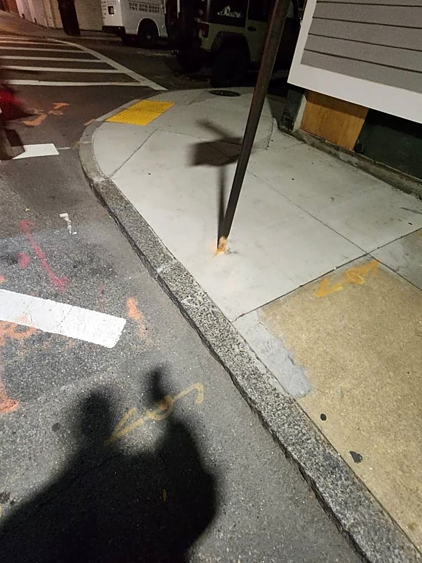 Image submitted with report