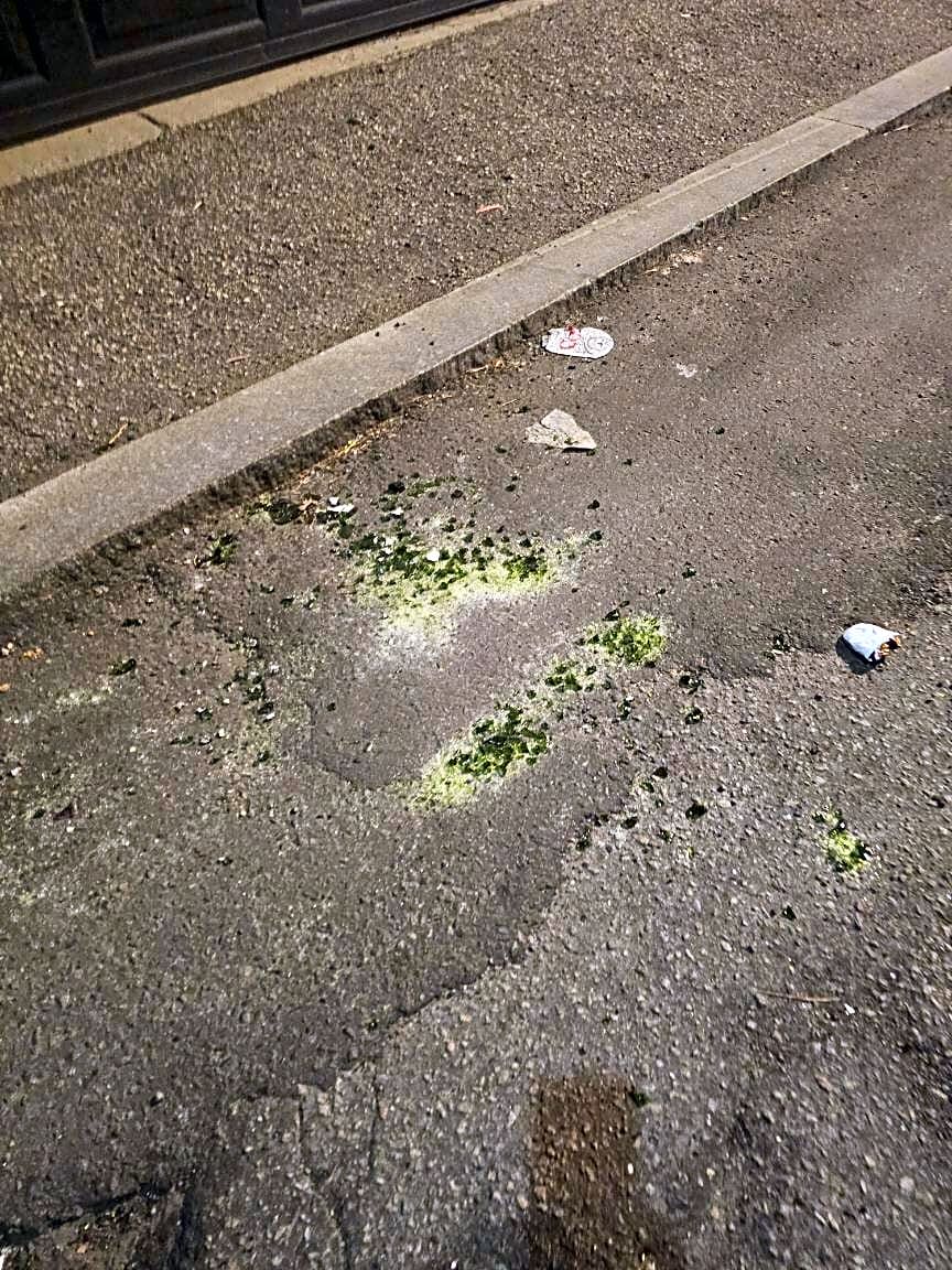 Image submitted with report