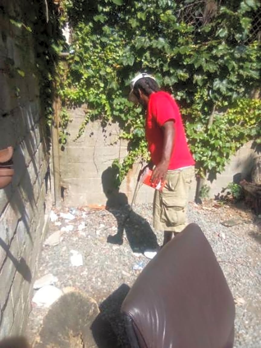 Image submitted with report