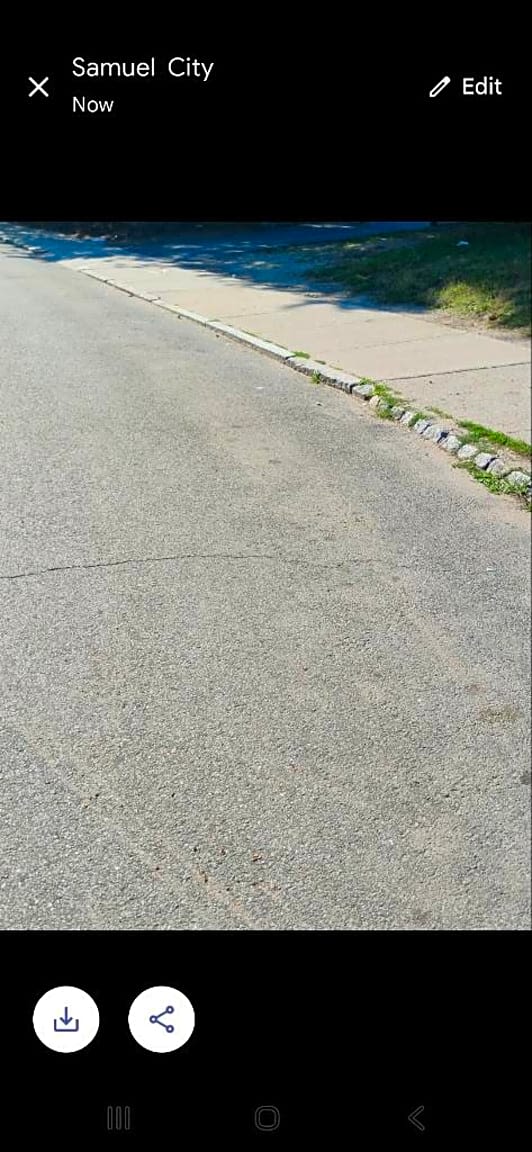 Image submitted with report