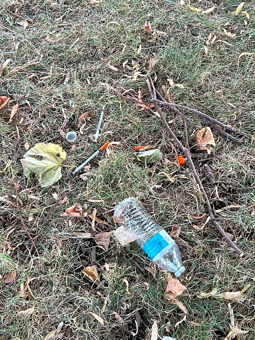 Image submitted with report