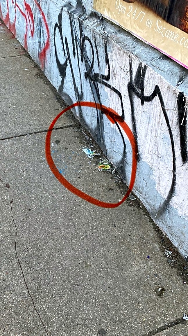Image submitted with report