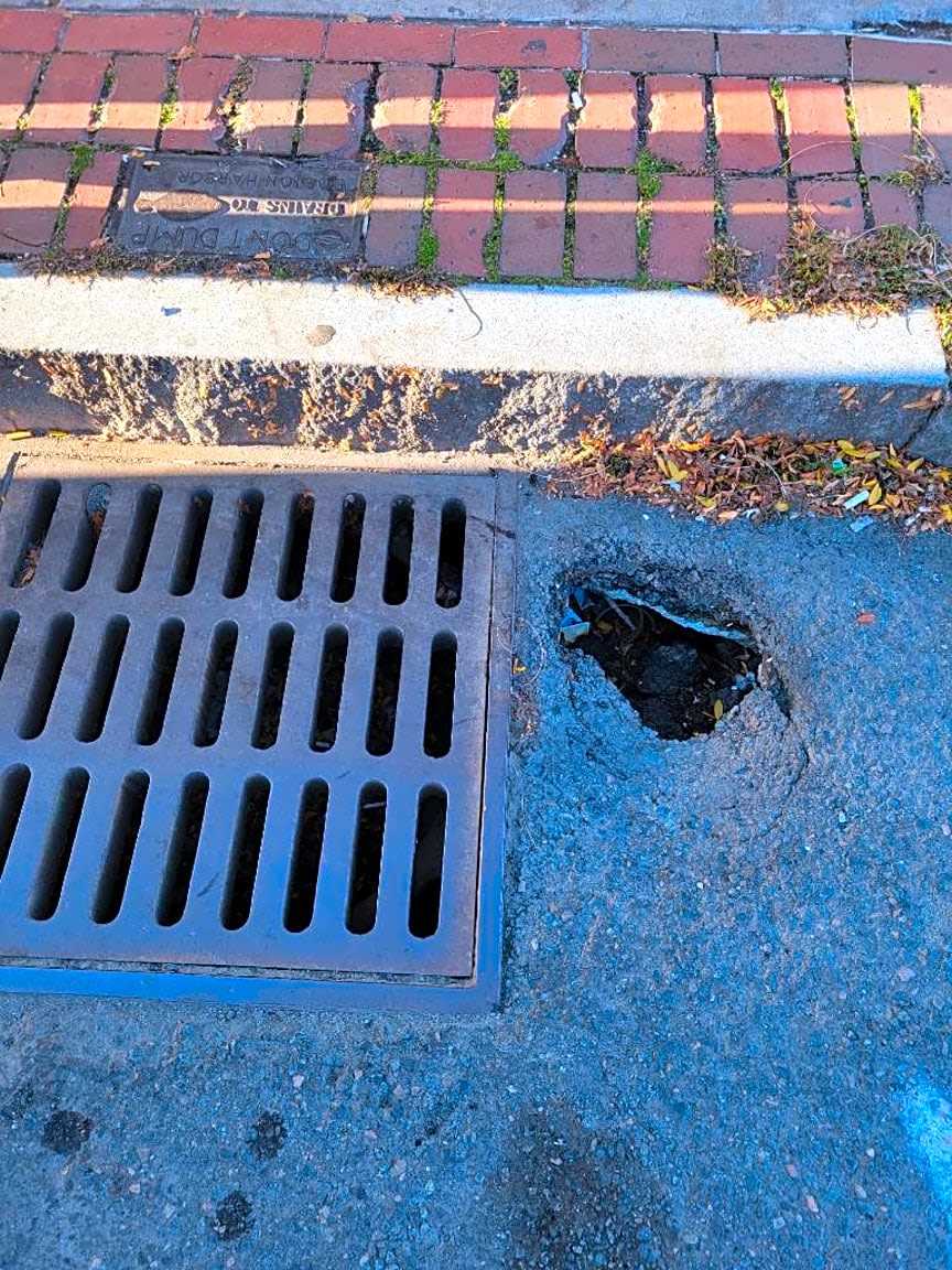 Image submitted with report