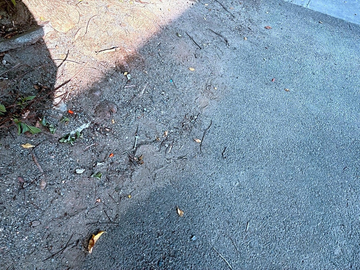 Image submitted with report