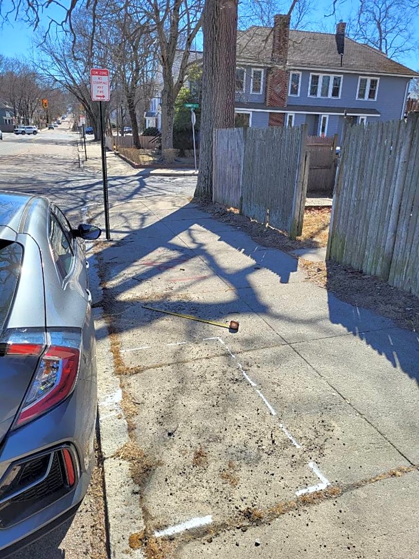 Image submitted with report