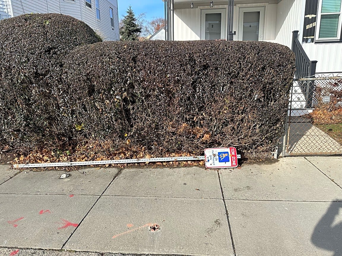 Image submitted with report