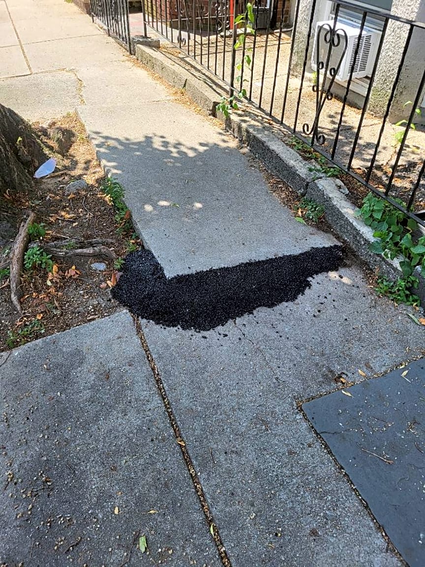 Image submitted with report