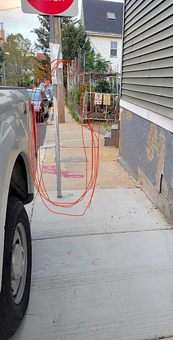 Image submitted with report