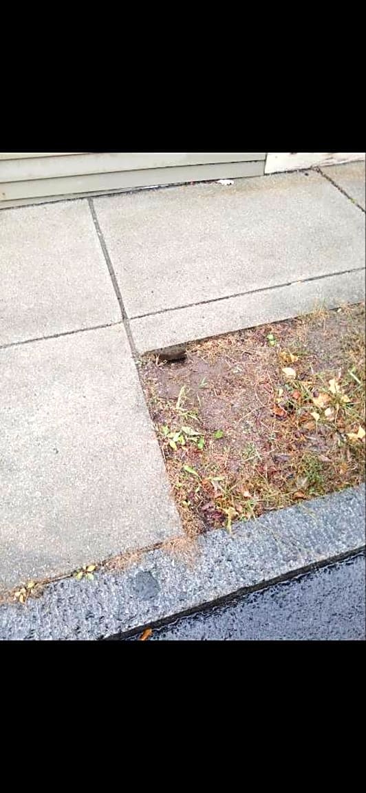 Image submitted with report