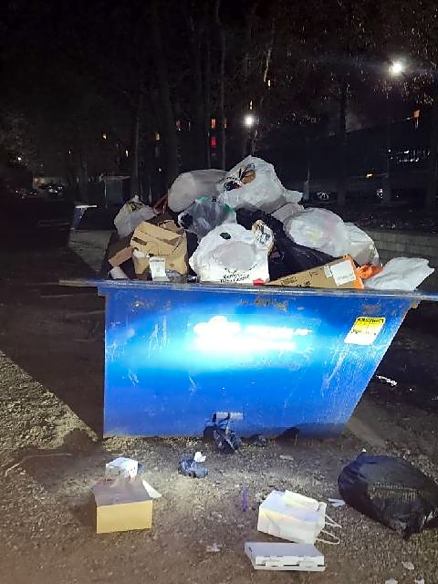 Image submitted with report