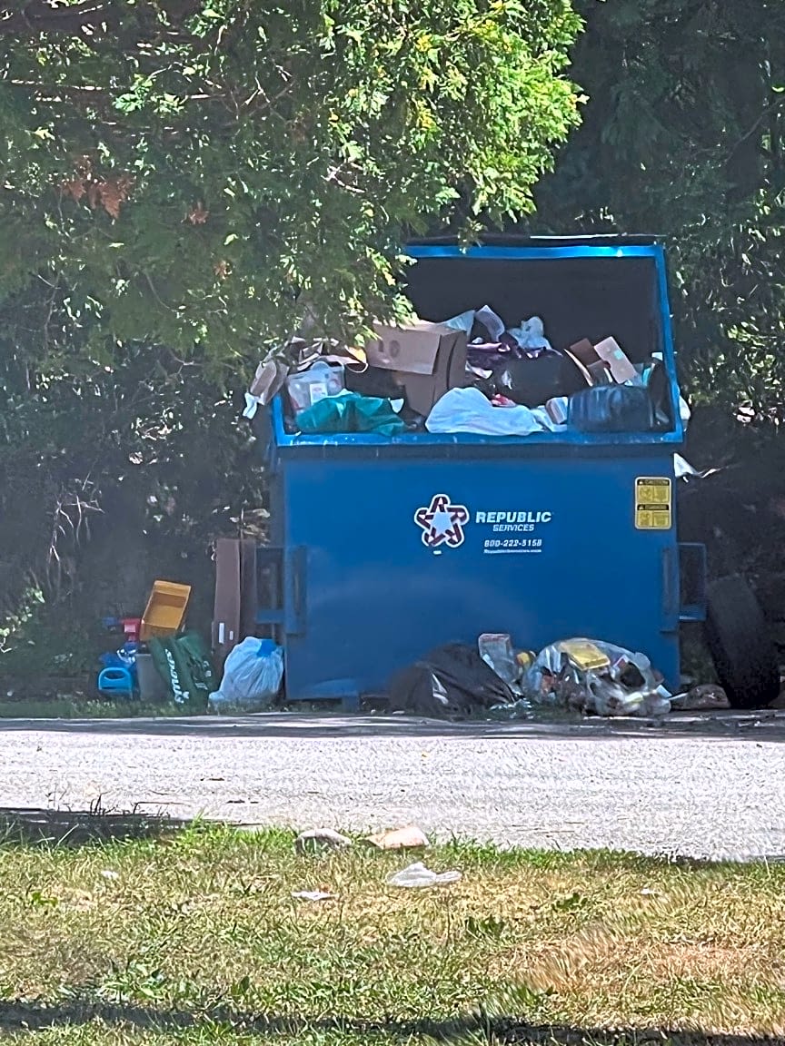 Image submitted with report