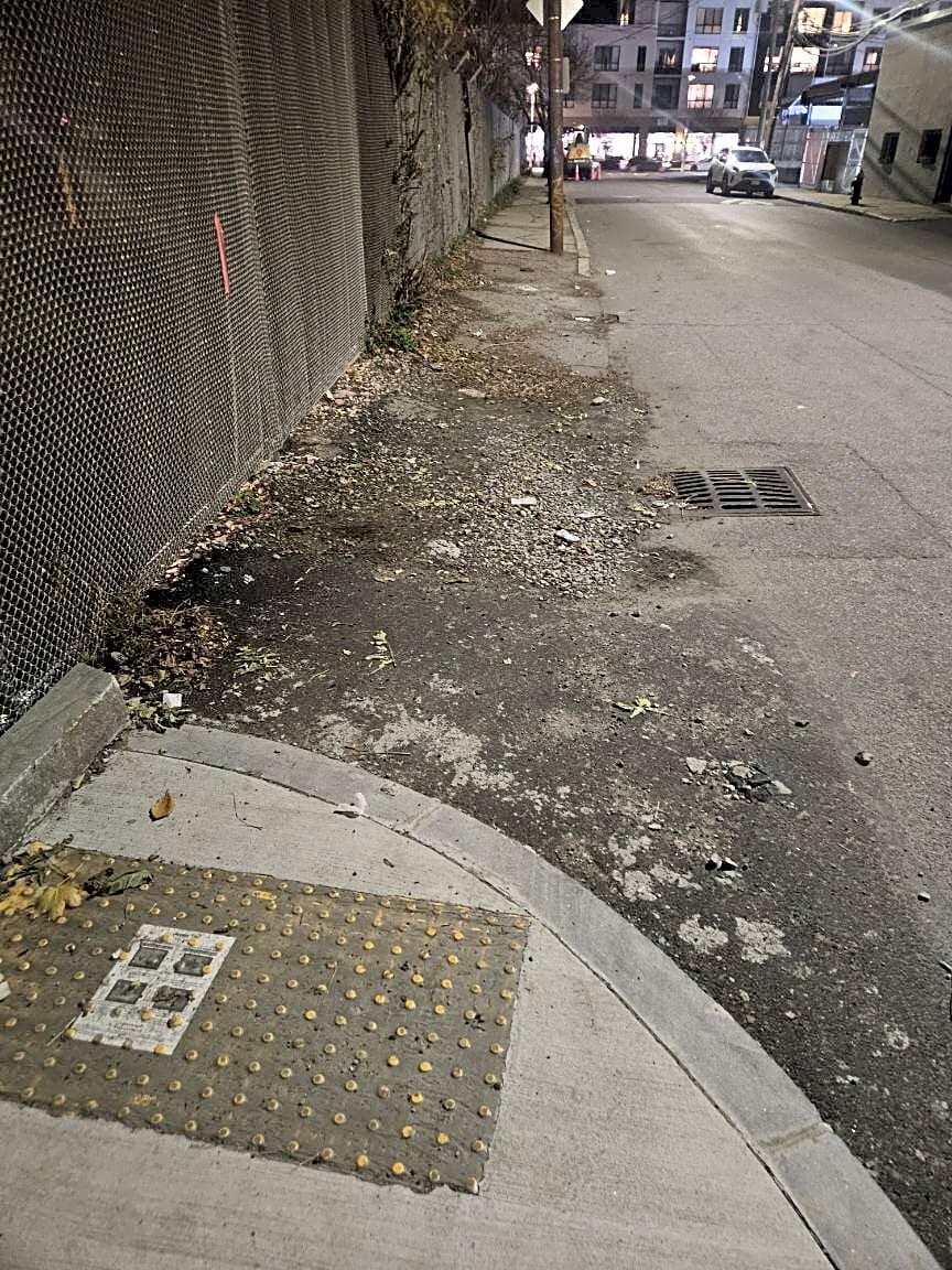 Image submitted with report