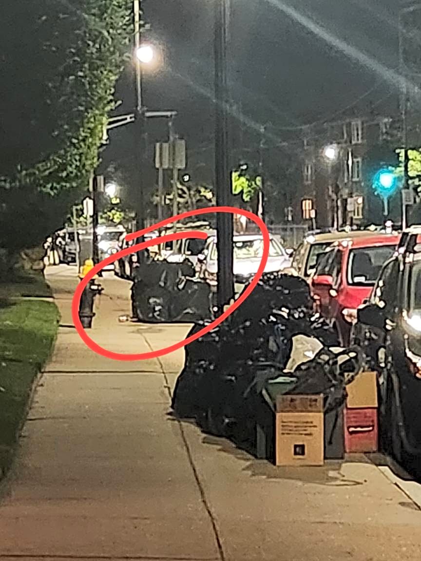 Image submitted with report