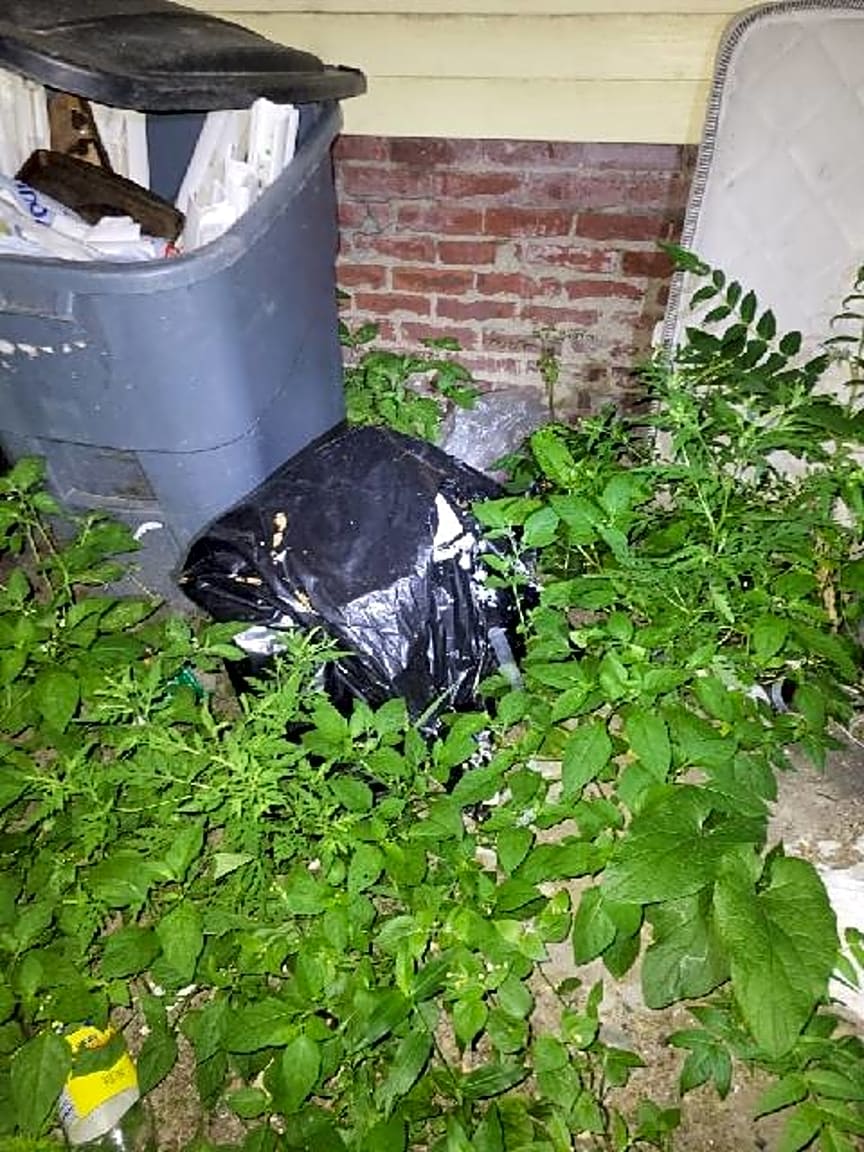 Image submitted with report
