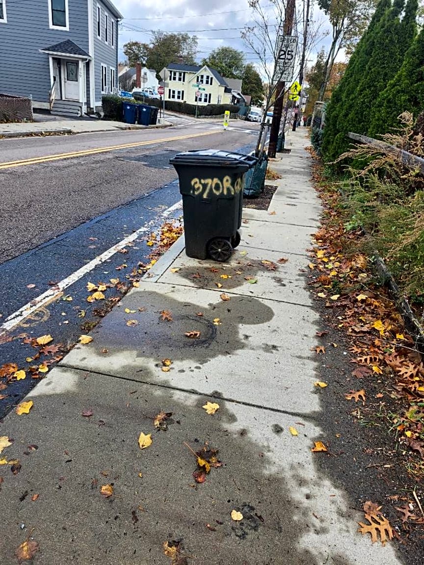 Image submitted with report