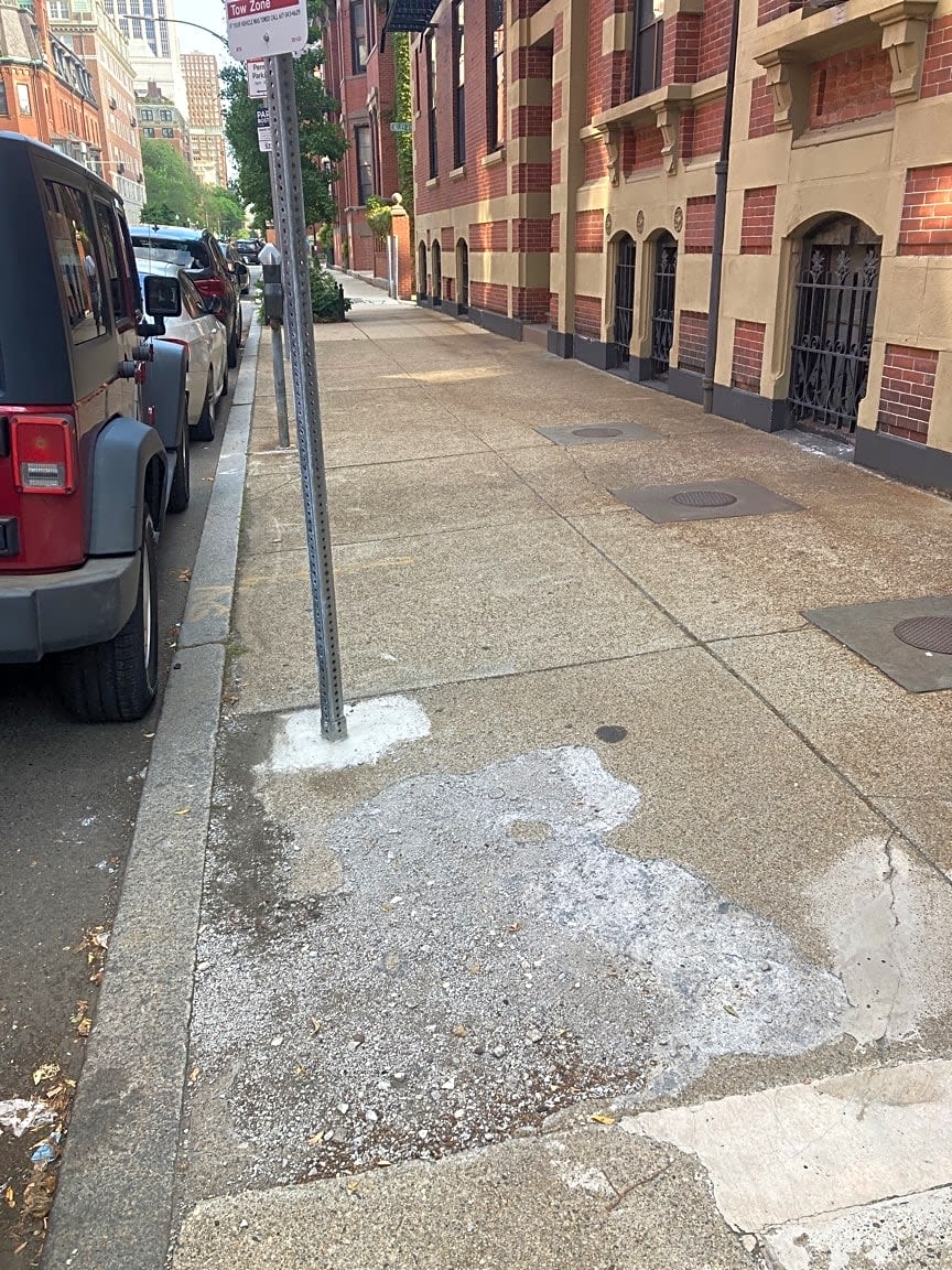 Image submitted with report