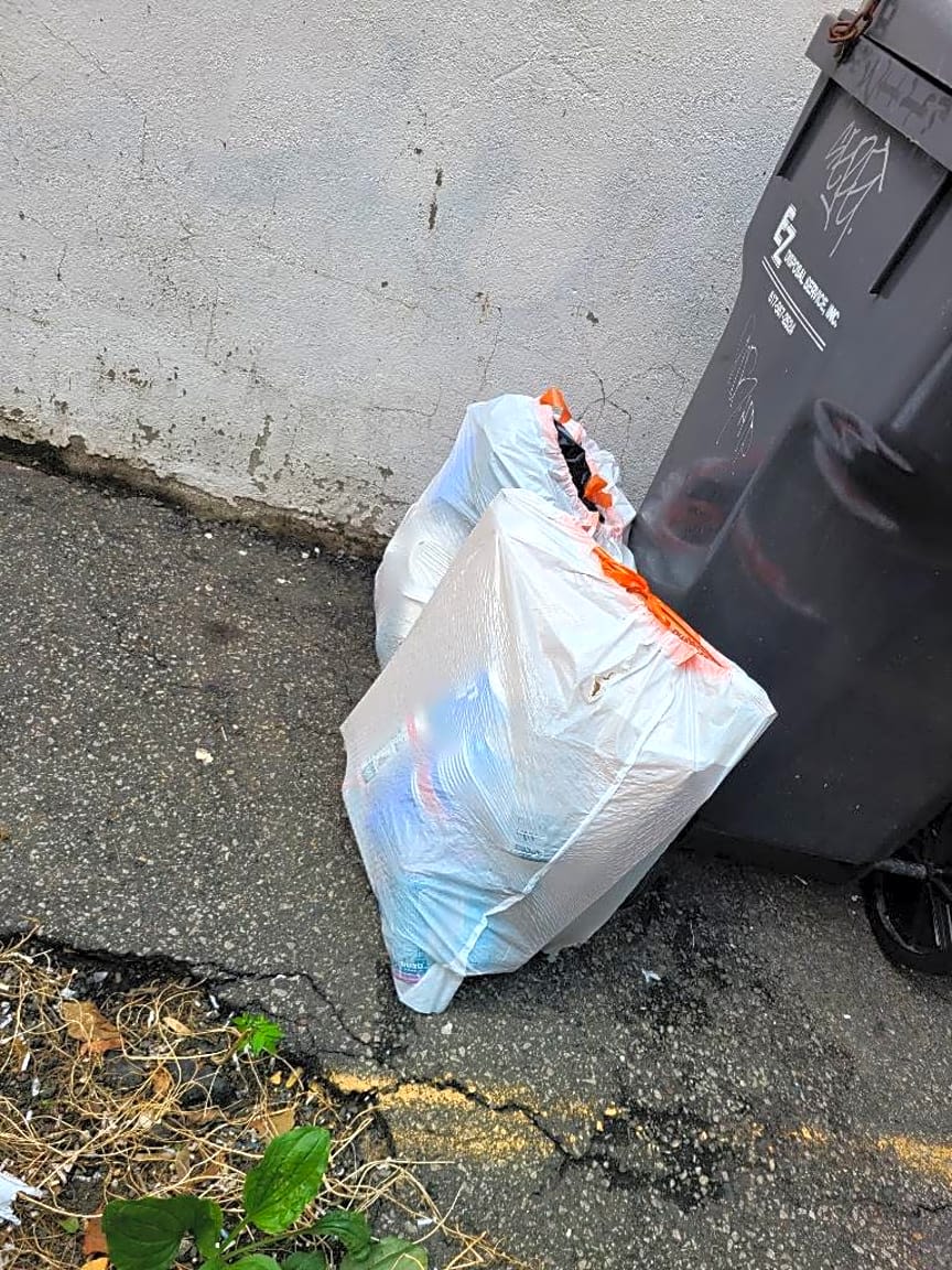 Image submitted with report