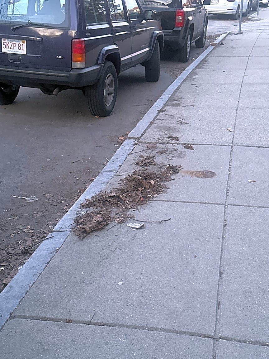 Image submitted with report
