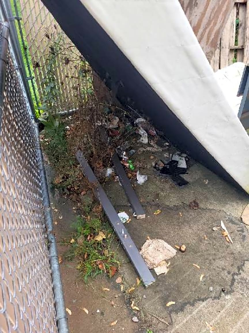 Image submitted with report