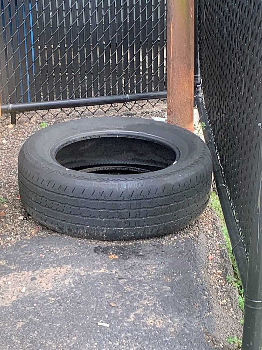 Image submitted with report