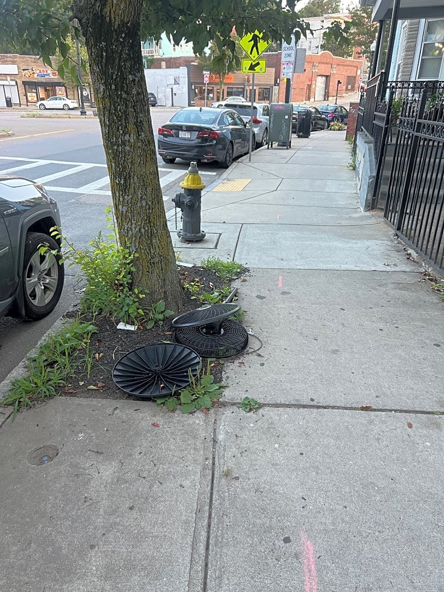 Image submitted with report