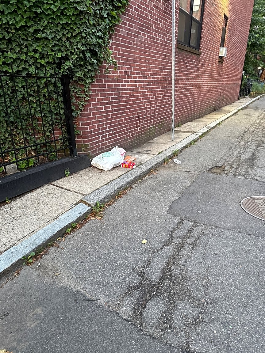 Image submitted with report