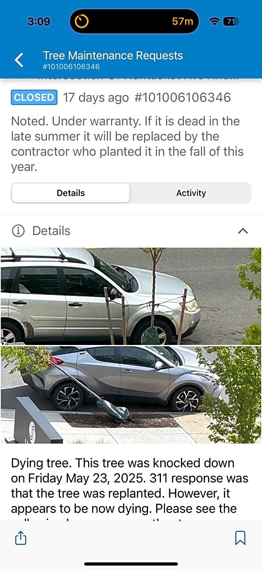 Image submitted with report