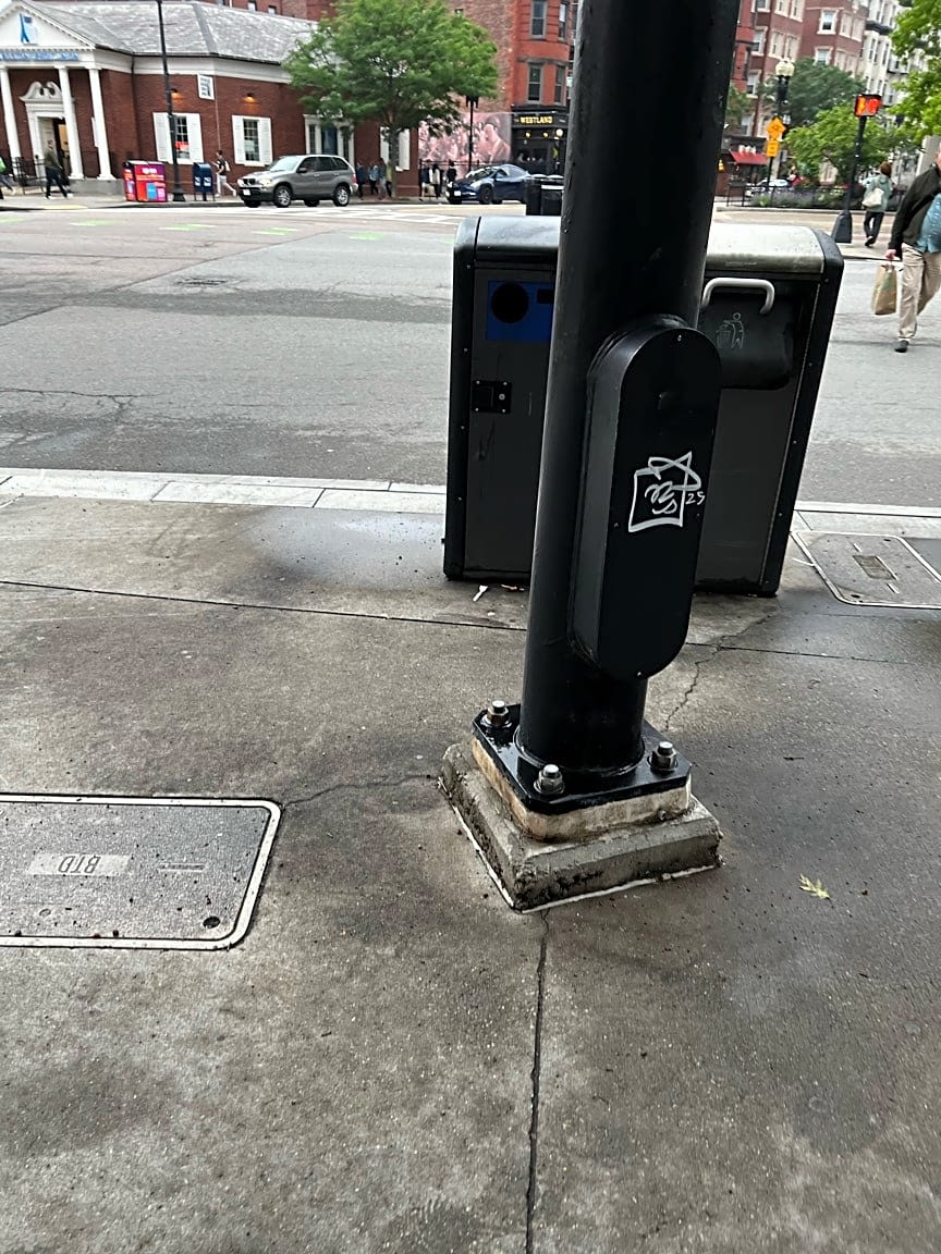 Image submitted with report