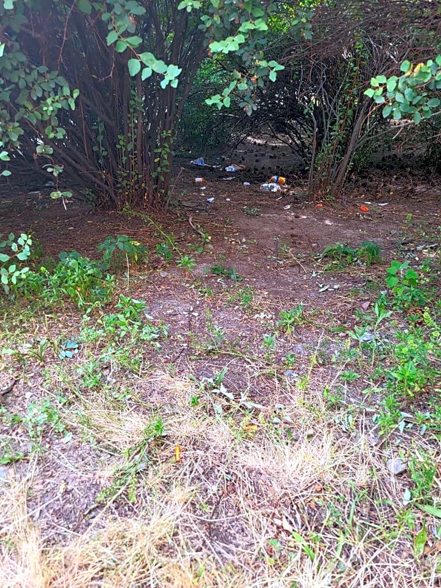 Image submitted with report