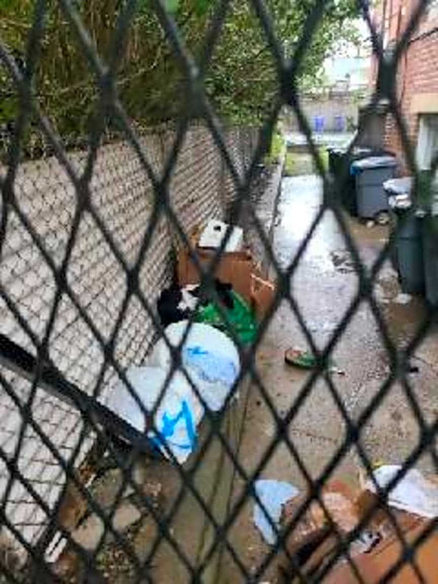 Image submitted with report