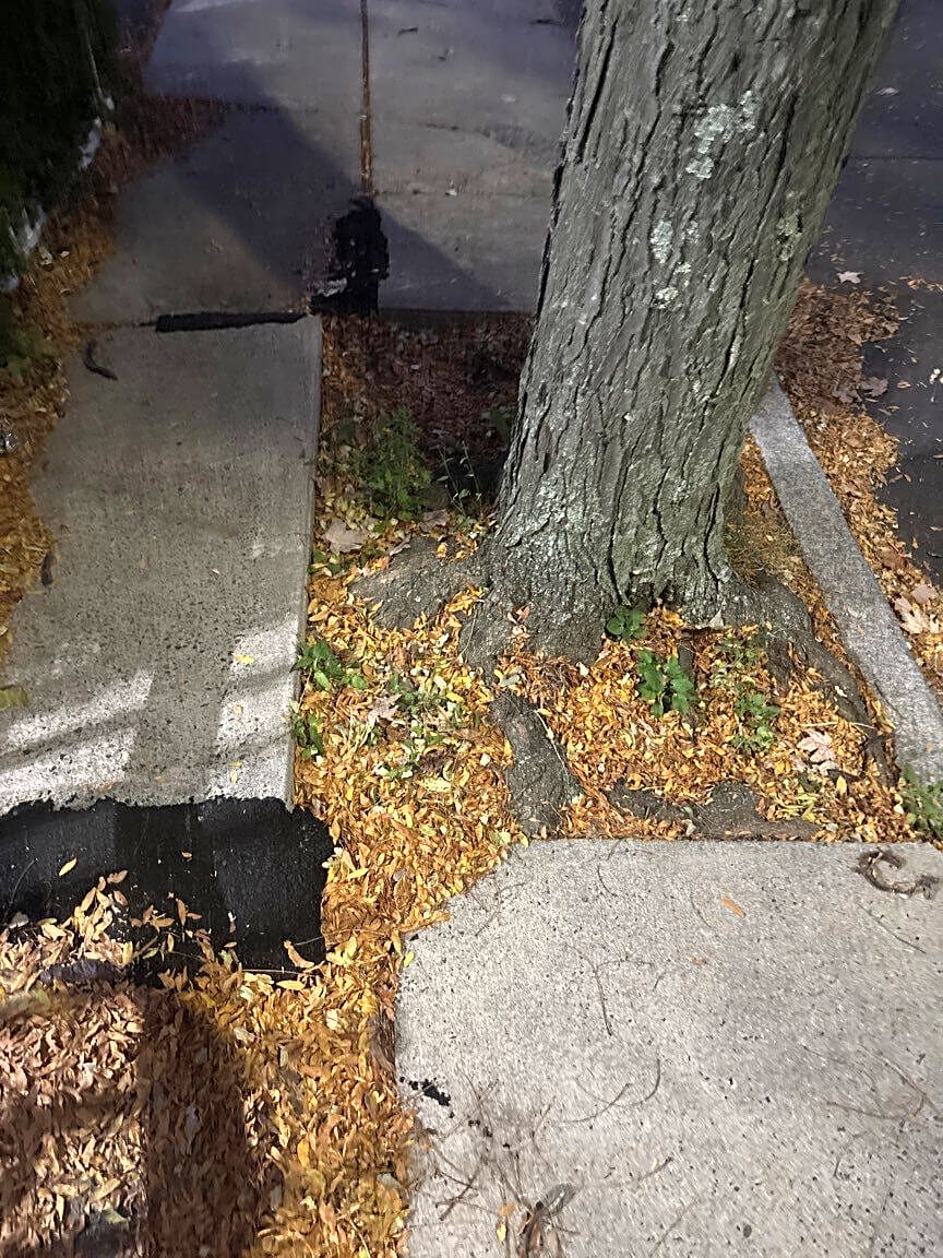 Image submitted with report