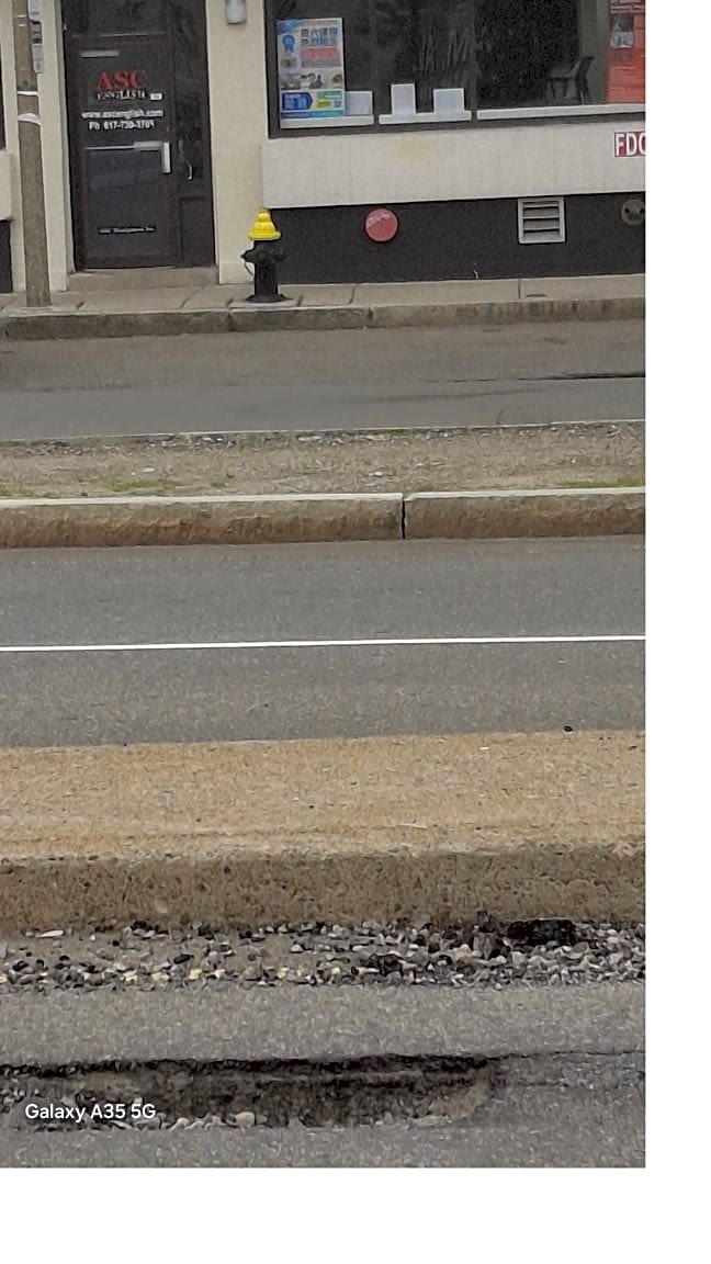 Image submitted with report
