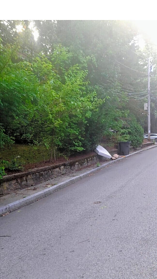 Image submitted with report