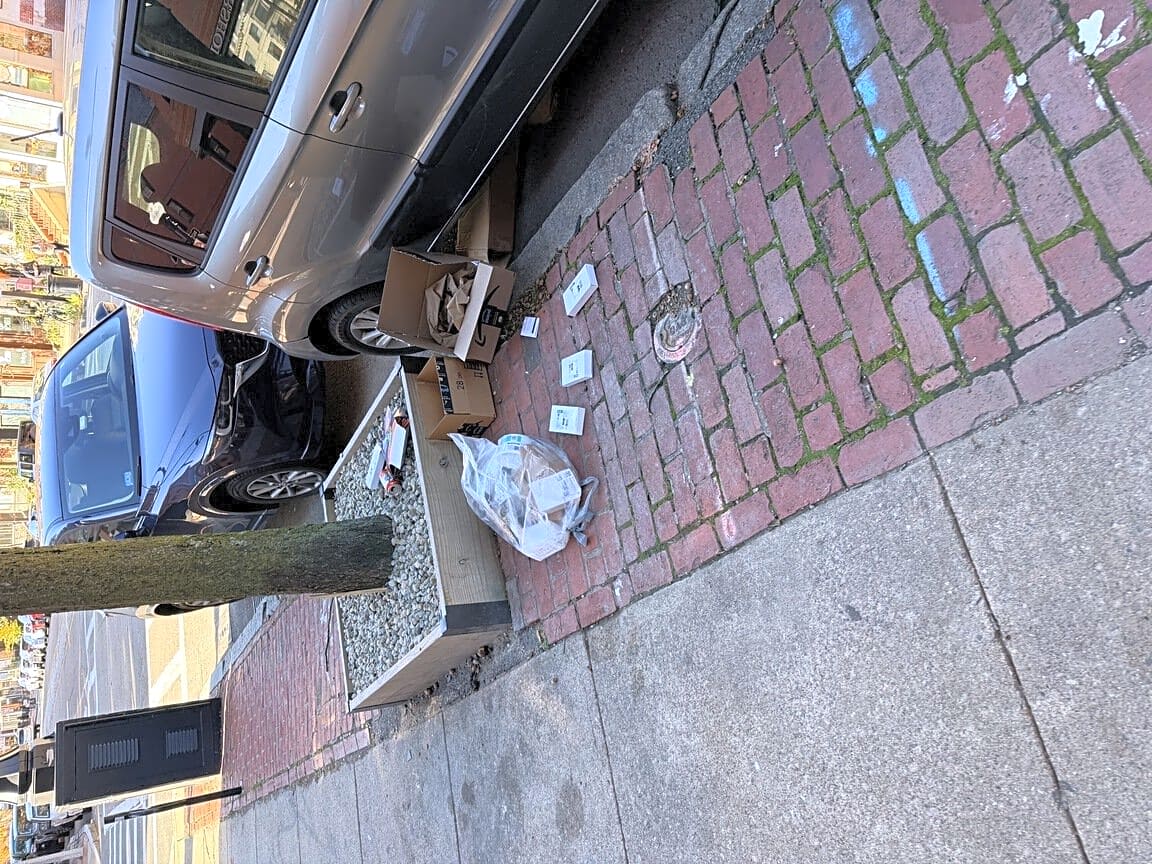 Image submitted with report