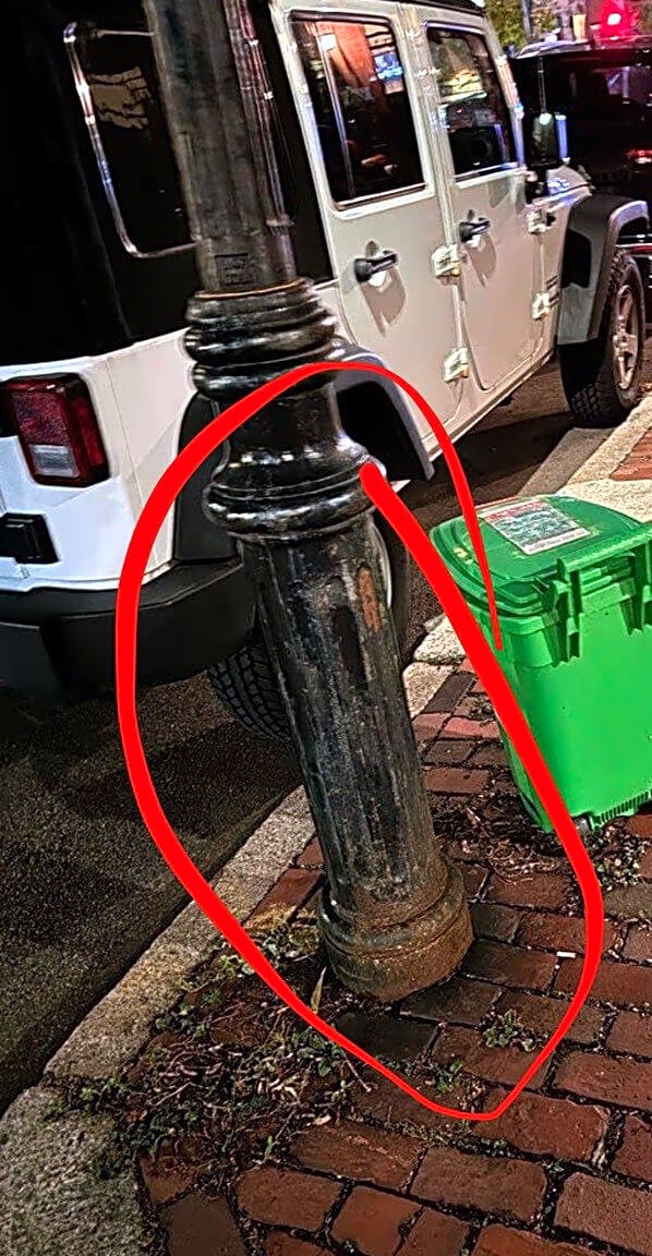 Image submitted with report