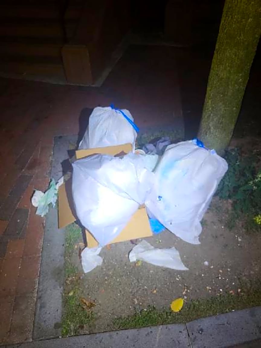 Image submitted with report