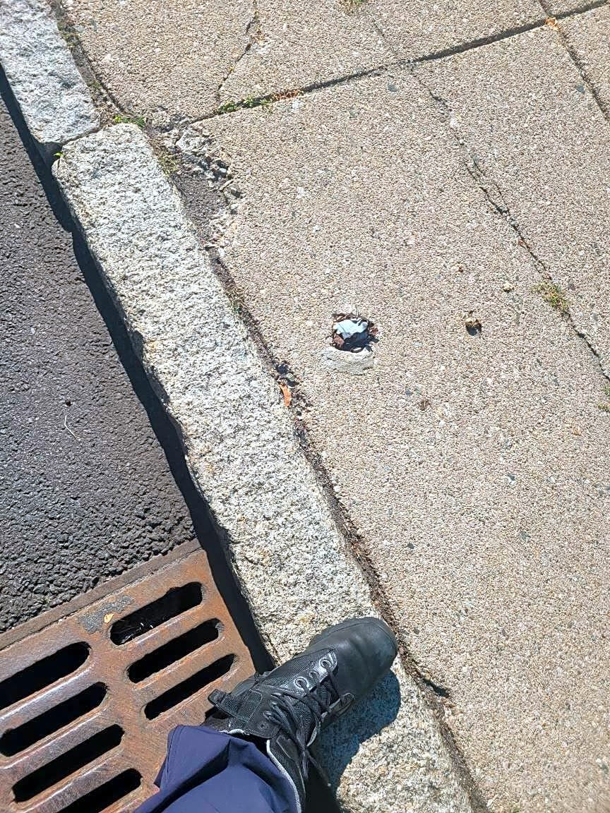 Image submitted with report