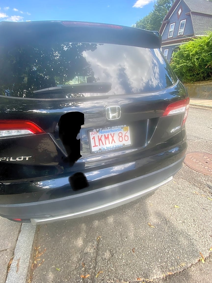 Image submitted with report