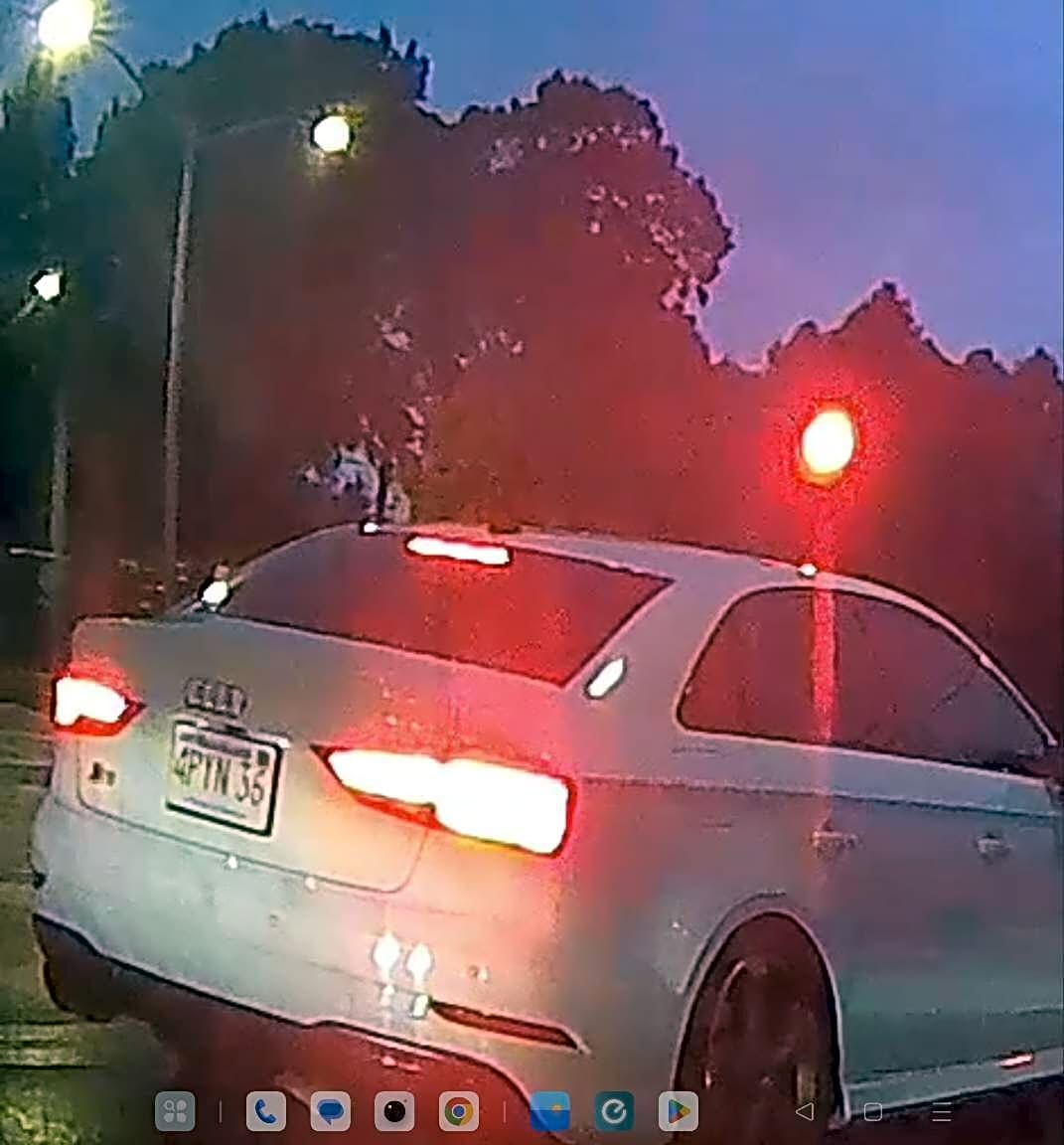 Image submitted with report