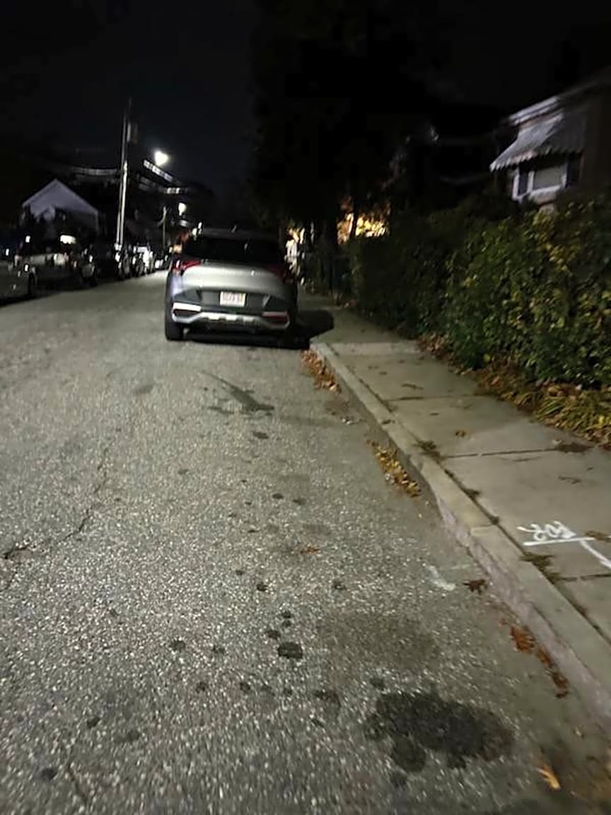 Image submitted with report