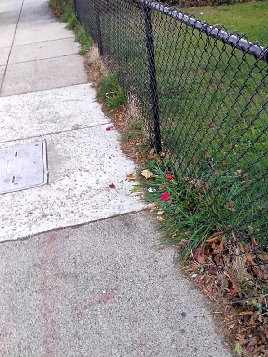 Image submitted with report