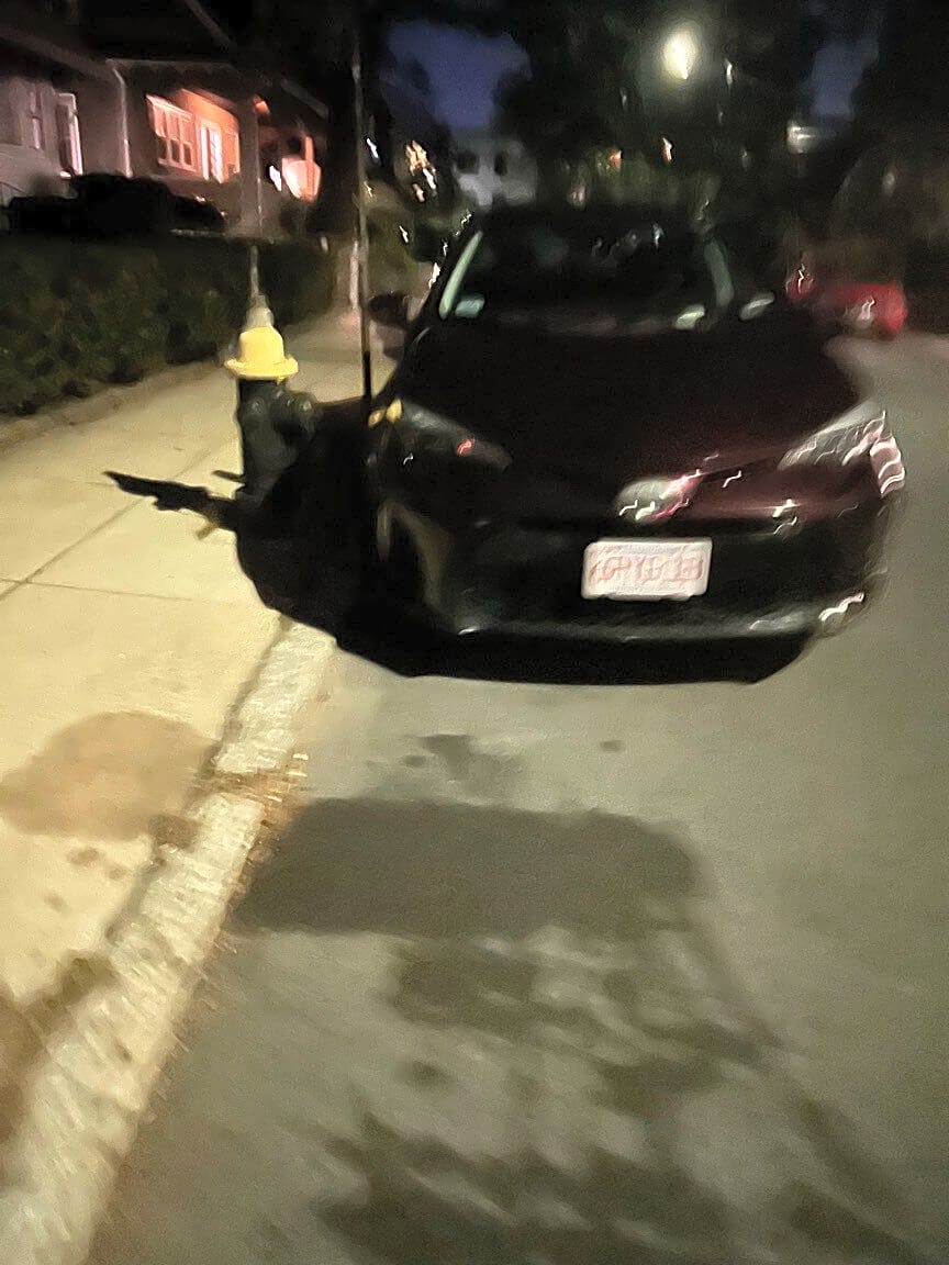 Image submitted with report