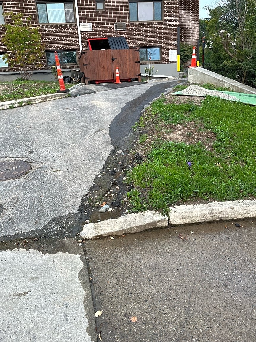 Image submitted with report