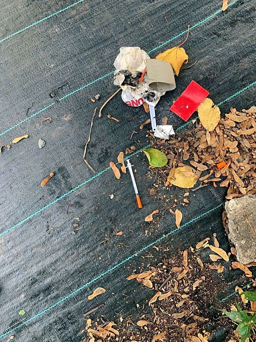 Image submitted with report