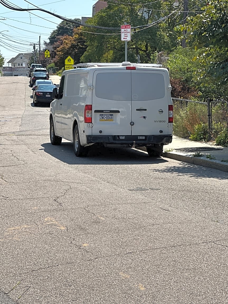 Image submitted with report