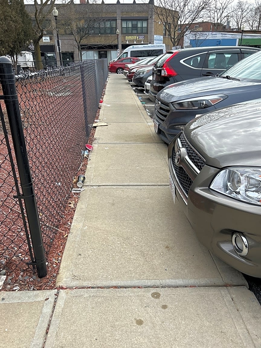 Image submitted with report