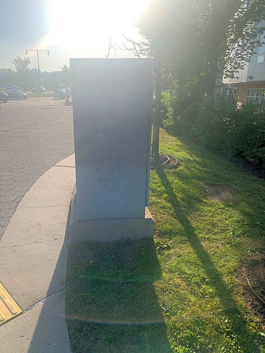 Image submitted with report