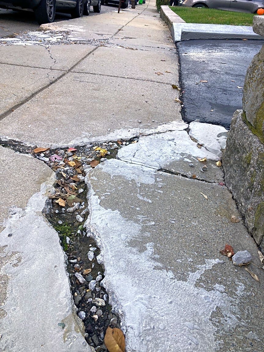 Image submitted with report