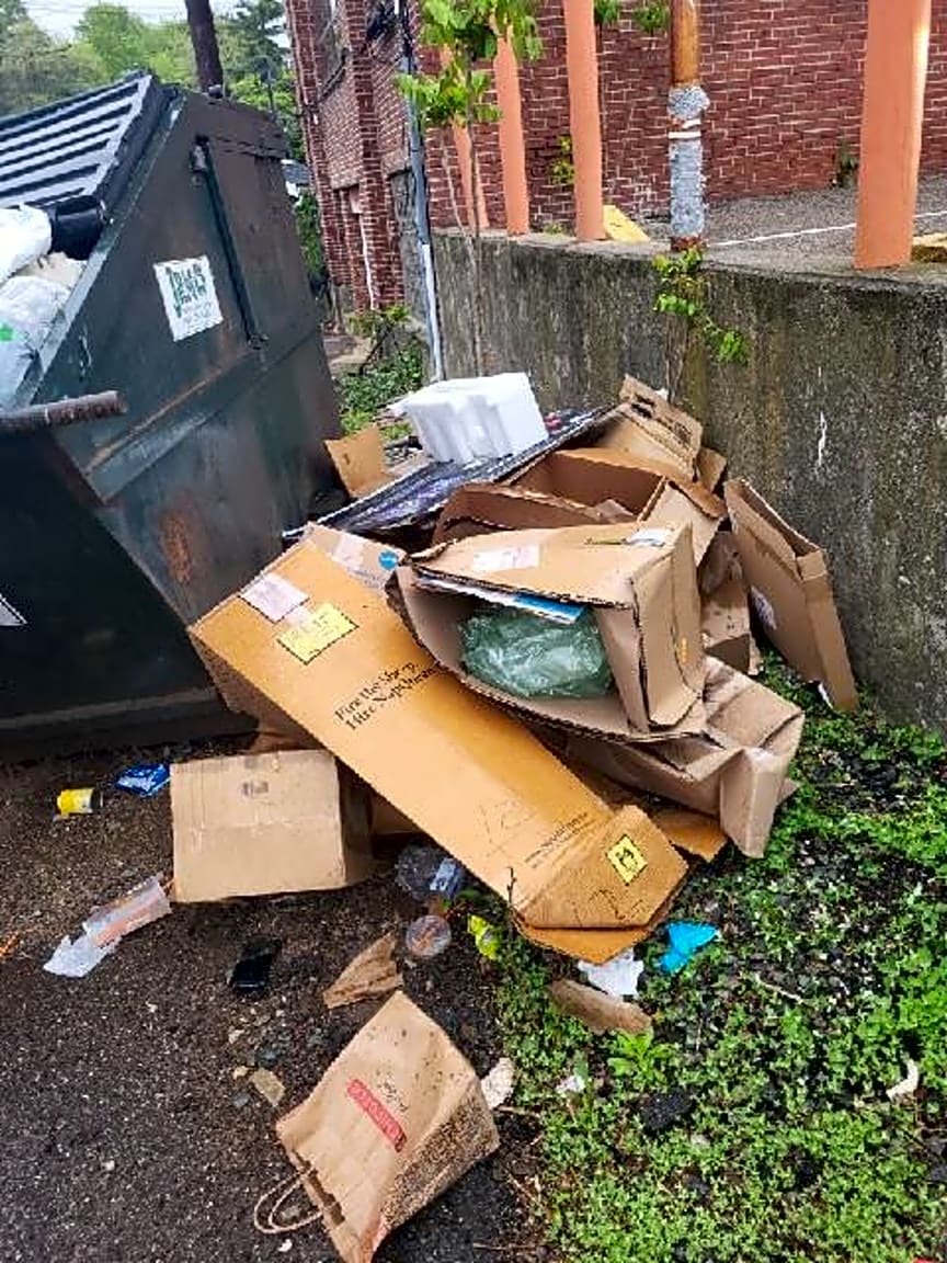 Image submitted with report