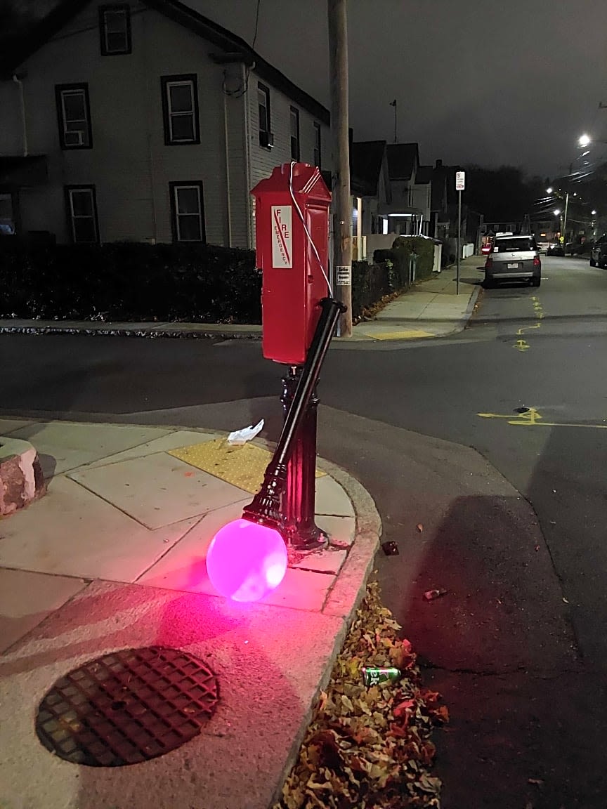 Image submitted with report